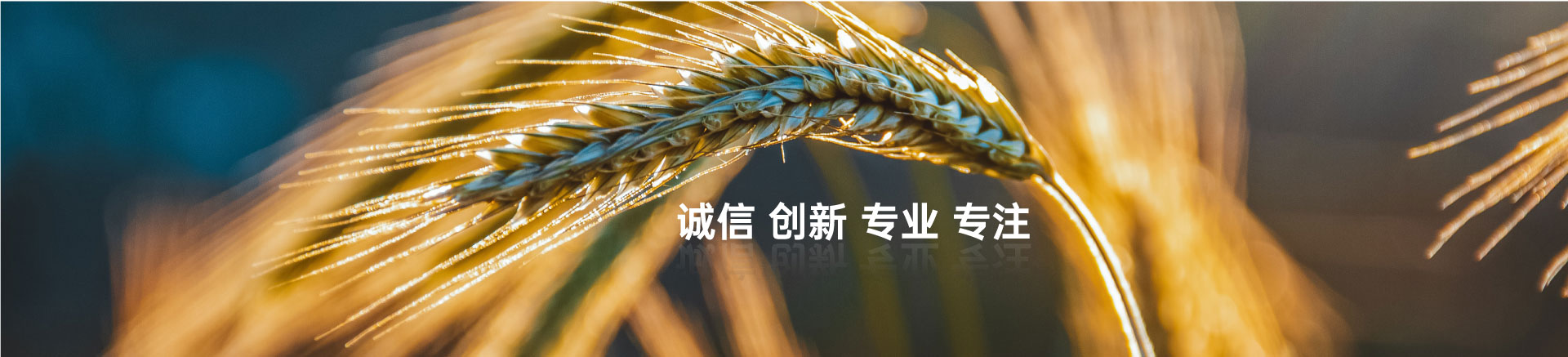 顧客至上，信譽(yù)第一